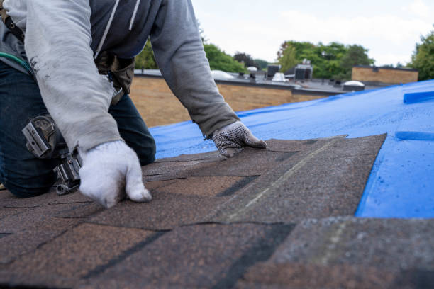 Best New Roof Installation  in Mill City, OR