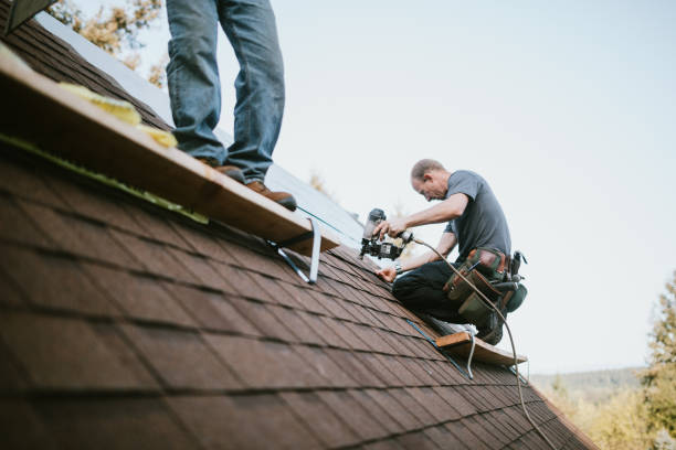 Professional Roofing Contractor in Mill City, OR